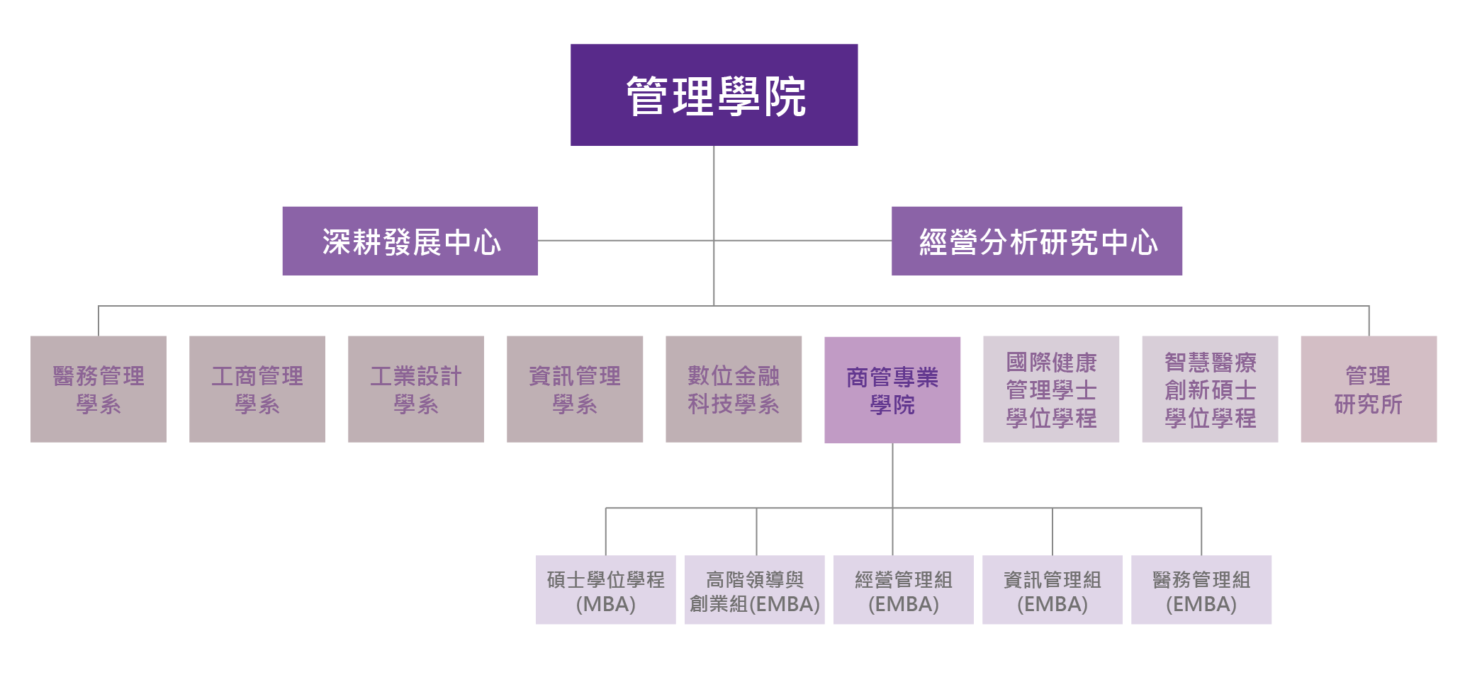 管院架構圖